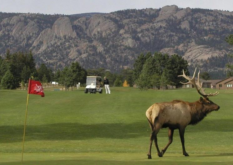 Lily Mountain Lodge - Amazing Mountains Views, Private Hot Tub, Great Location Estes Park Extérieur photo