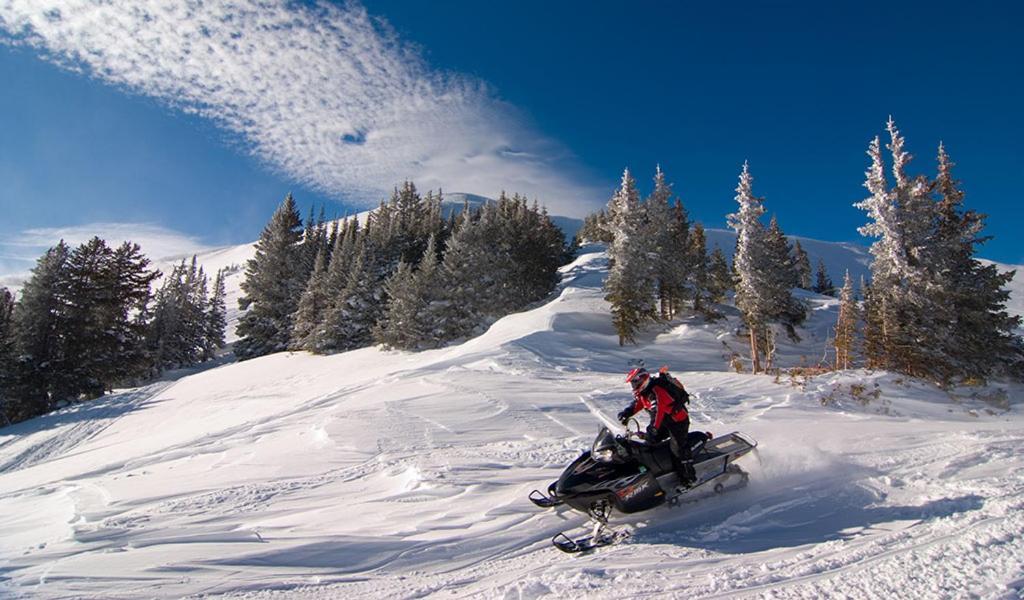 Lily Mountain Lodge - Amazing Mountains Views, Private Hot Tub, Great Location Estes Park Extérieur photo